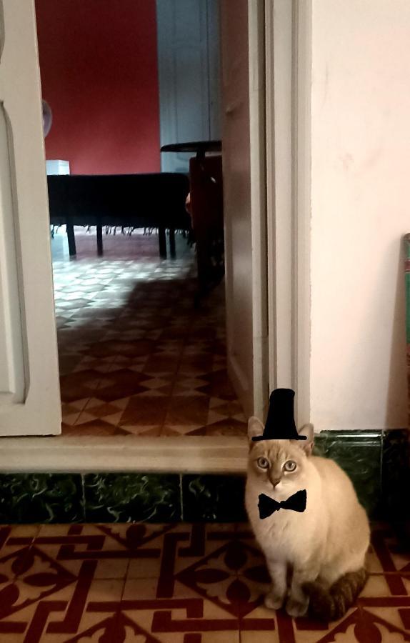Casa Artistica Panzió Gandía Kültér fotó